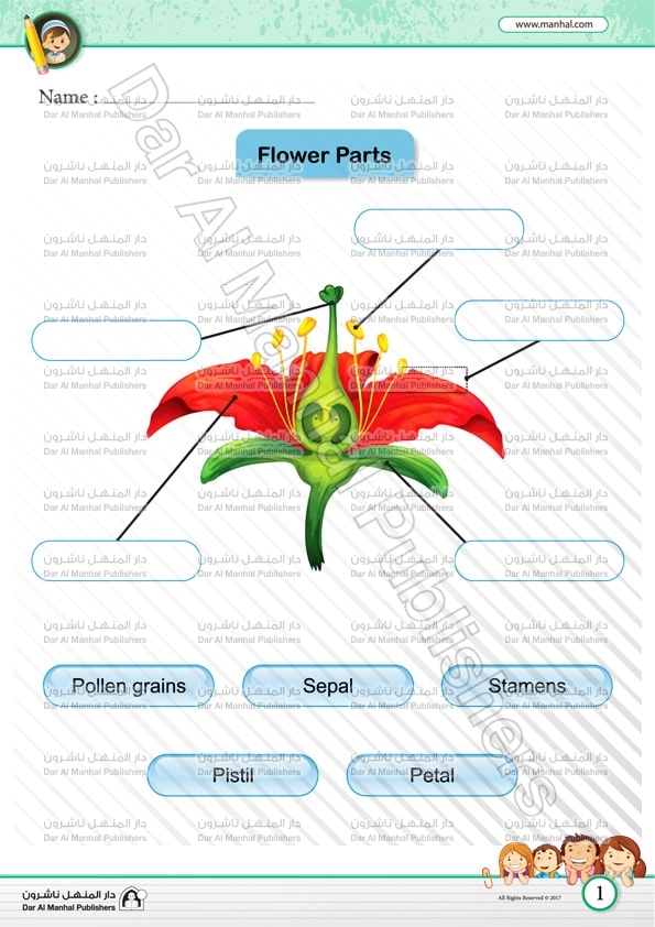 label-the-flower-parts-worksheet